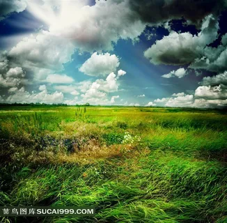绿色草地摄影风景图片 绿色草地摄影风景图片