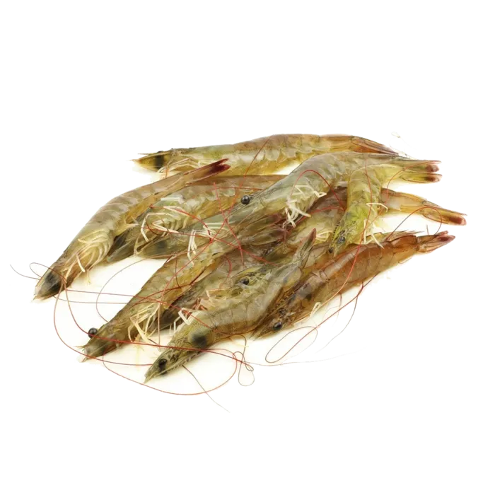 虾类(31)海鲜超市商品红酒白底图免抠实物摄影png格式图片透明底