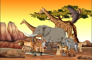 可爱黄昏动物园山水