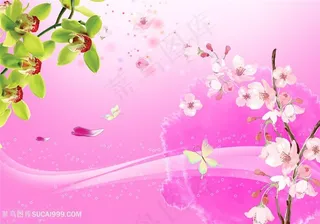 蝶恋花电视背景墙