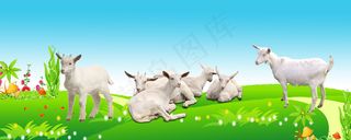草地羊群春意盎然宽屏背景图