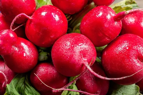 圆形红萝卜蔬菜图片 圆形红萝卜蔬菜图片