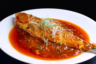 XCXC1541海景跳水鱼