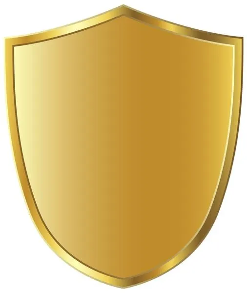 黄金PNG免抠(506x600)