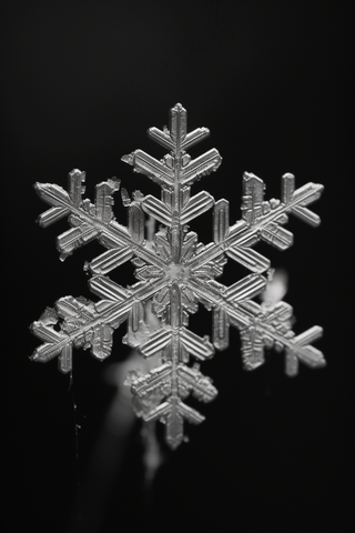 雪花白雪冬天摄影图