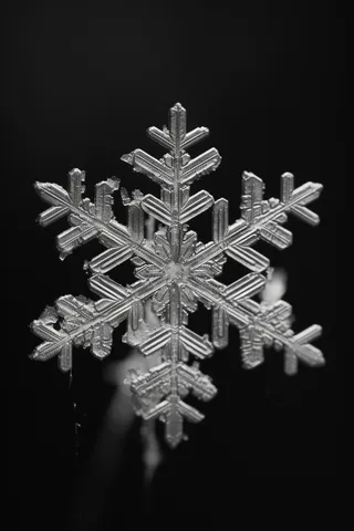 雪花白雪冬天摄影图