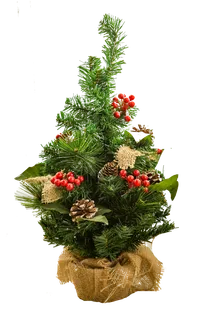 圣诞节平安夜圣诞树免扣素材圣诞元素