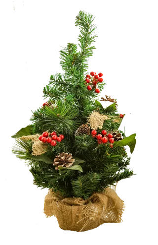 圣诞节平安夜圣诞树免扣素材圣诞元素