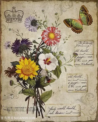 欧式花与蝴蝶装饰画