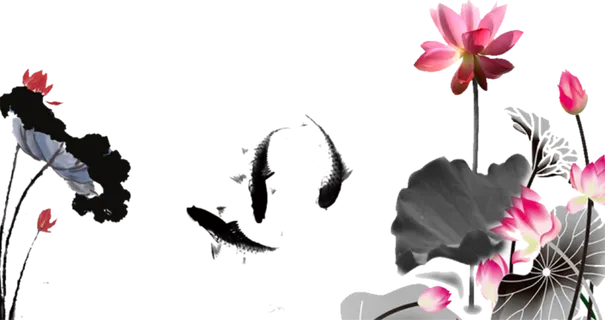 水墨荷花书法国画莲花