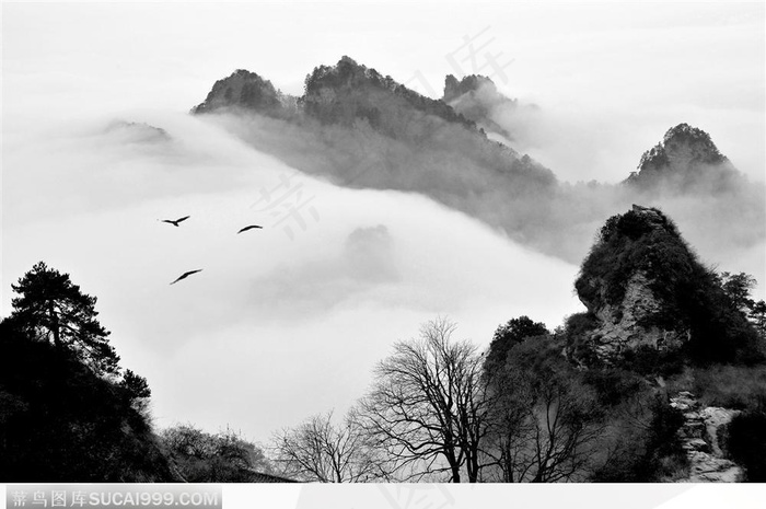 水墨武当-乌鸦岭云海