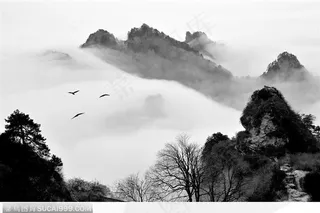 水墨武当-乌鸦岭云海