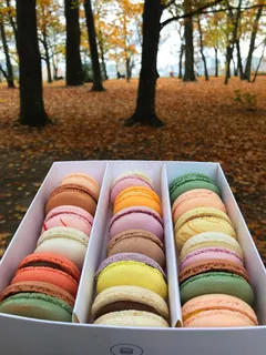 美味彩色马卡龙图片