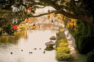 24节气秋分图片