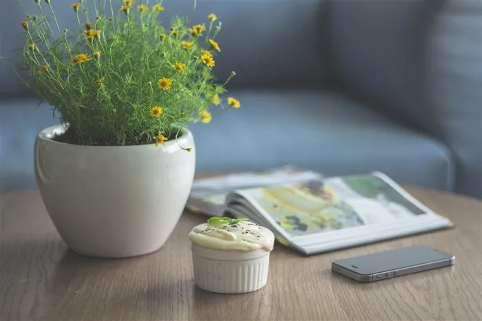 桌子上一盆花和手机