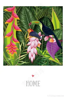 唯美植物鸟艺术插画