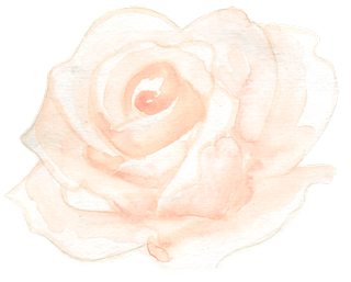 唯美森系手绘水彩花朵 免抠