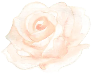 唯美森系手绘水彩花朵 免抠