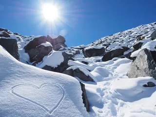 冬天白色背景风景