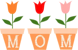 母亲节花束spring