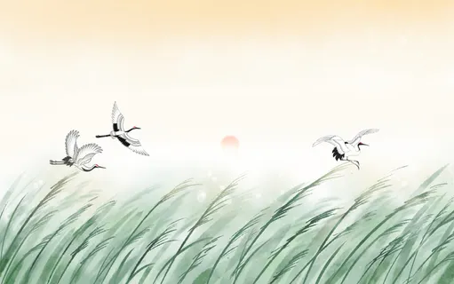 唯美秋季白露插画