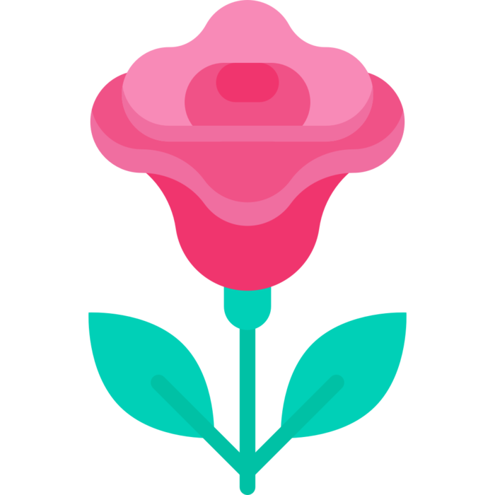 玫瑰花简笔画