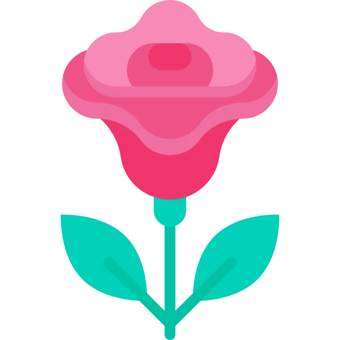 玫瑰花简笔画