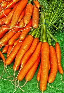 营养食用胡萝卜图片 营养食用胡萝卜图片