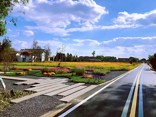 城市规划 城乡规划 美丽乡村 园林 绿化 公园