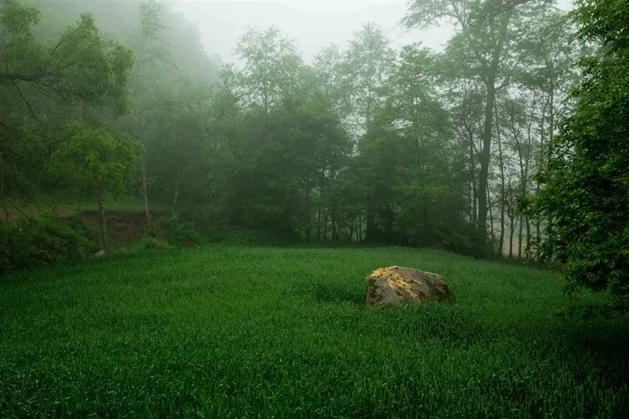 甘肃云雾山风景大图