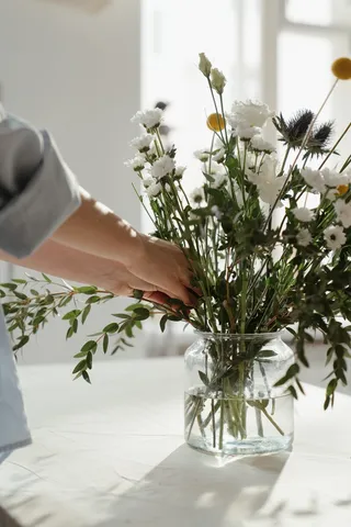 白色纯洁雏菊摄影素材