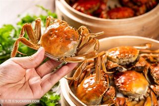 阳澄湖美味大闸蟹中华美食