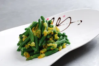 LCSC2050炝拌乳瓜苗  36