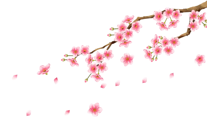 免扣素材梅花