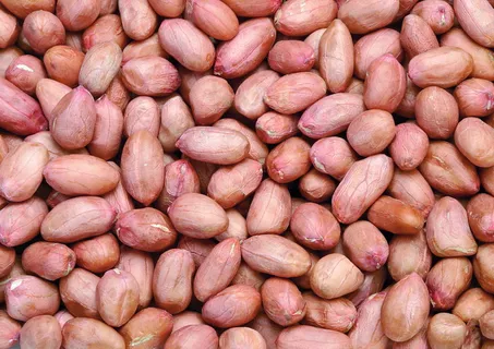 花生米图片 花生米图片