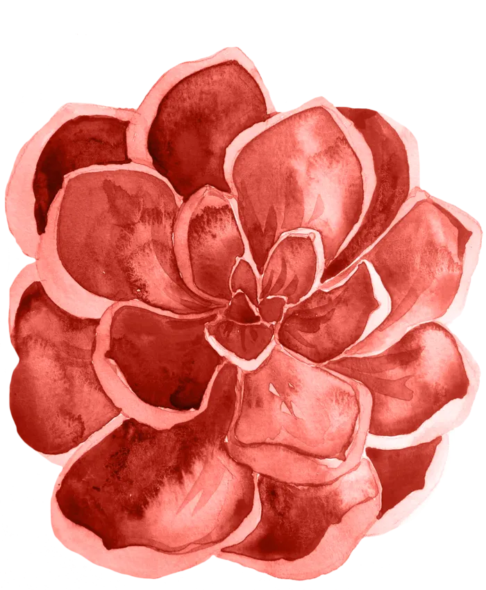 鲜花玫瑰免扣素材