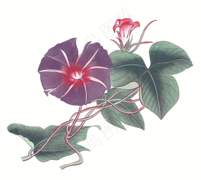 国画瓜果蔬菜鱼虾蟹大图jpg素材