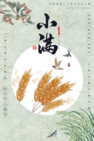 清新二十四节气小满节日海报