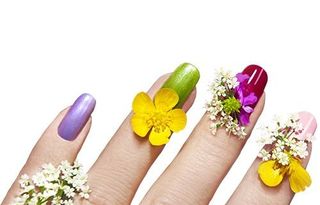 指甲美甲 PNG免抠