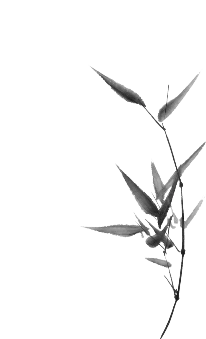 竹子水墨画中国风国画墨水书法竹子画