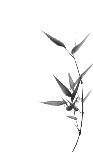 竹子水墨画中国风国画墨水书法竹子画