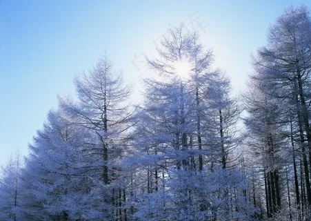 冰天雪地 494 冰天雪地 494