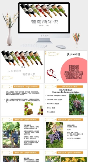 红酒葡萄酒知识培训宣传介绍PPT模板预览图