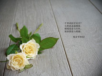 母亲节感恩话语 母亲节感恩话语