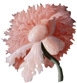 复古油画质感宫廷花卉植物花朵鲜花拼贴图案PNG免抠图片设计素材