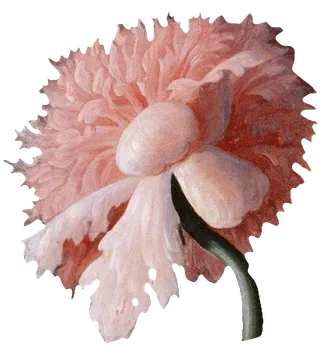 复古油画质感宫廷花卉植物花朵鲜花拼贴图案PNG免抠图片设计素材