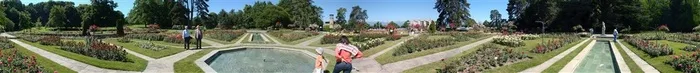 瑞士日内瓦玫瑰花园