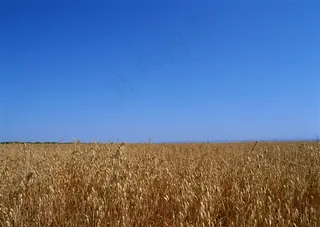 晴空万里概念摄影图片