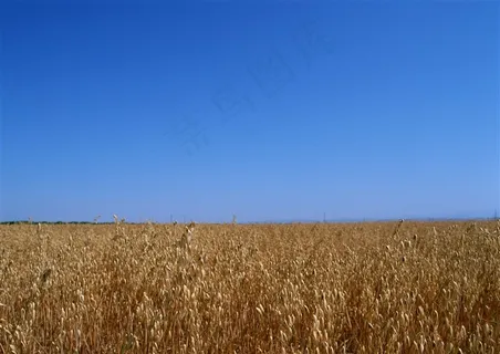 晴空万里概念摄影图片 晴空万里概念摄影图片