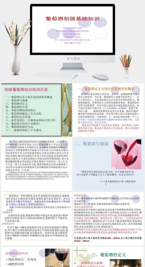 红酒葡萄酒知识培训宣传介绍PPT模板预览图